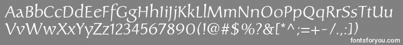 Carolinaltstd Font – White Fonts on Gray Background