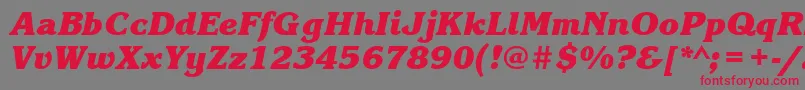 Шрифт KorinnablacktttBolditalic – красные шрифты на сером фоне