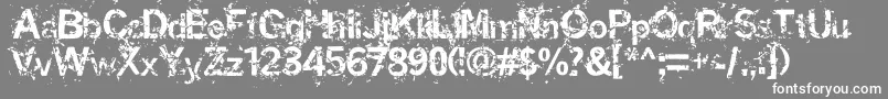 Miaso Font – White Fonts on Gray Background