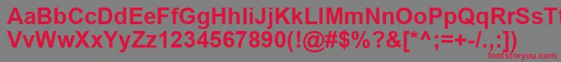 ArialKoi8Bold Font – Red Fonts on Gray Background