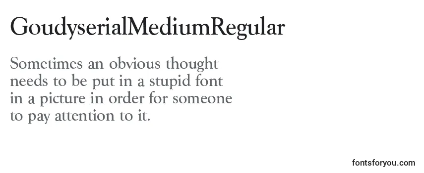 Review of the GoudyserialMediumRegular Font