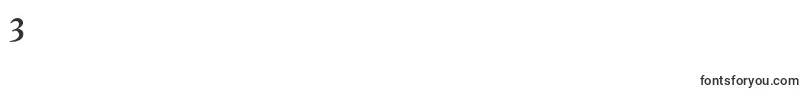 Dslutherschehalbfett Font – Fonts for Digit 3