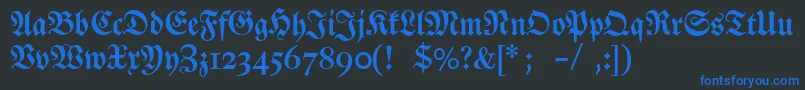 Dslutherschehalbfett Font – Blue Fonts on Black Background
