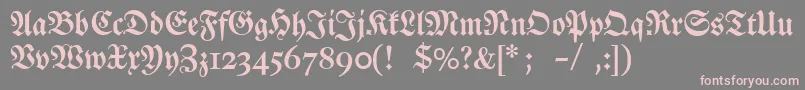 Шрифт Dslutherschehalbfett – розовые шрифты на сером фоне