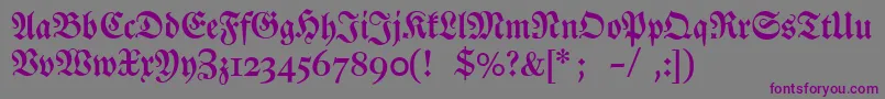 Dslutherschehalbfett Font – Purple Fonts on Gray Background