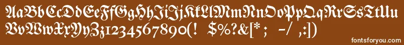 Dslutherschehalbfett Font – White Fonts on Brown Background