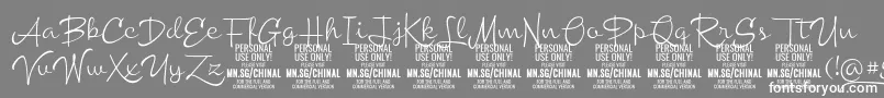 ChinallightPersonalUse Font – White Fonts on Gray Background