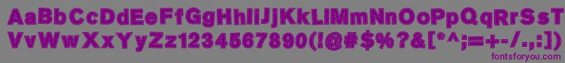 SingerMears Font – Purple Fonts on Gray Background