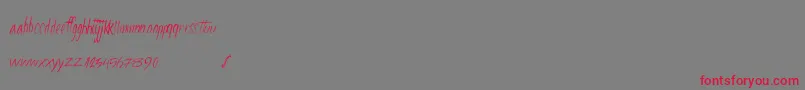 Fourstars Font – Red Fonts on Gray Background
