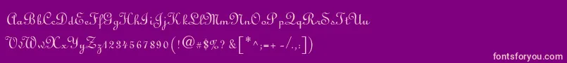 フォントFinlandia – 紫の背景にピンクのフォント