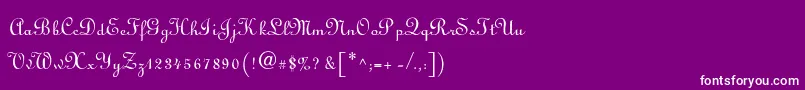 フォントFinlandia – 紫の背景に白い文字