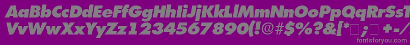 Czcionka IsomarDisplayExpandedSsiExpandedItalic – szare czcionki na fioletowym tle