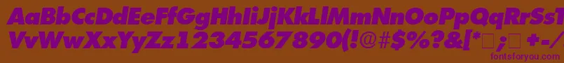 IsomarDisplayExpandedSsiExpandedItalic Font – Purple Fonts on Brown Background