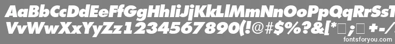 IsomarDisplayExpandedSsiExpandedItalic Font – White Fonts on Gray Background