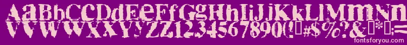 Timenr Font – Pink Fonts on Purple Background