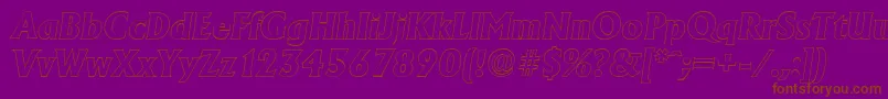 AdelonoutlineXboldItalic Font – Brown Fonts on Purple Background