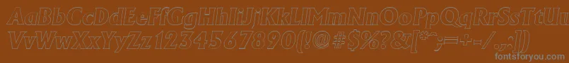 AdelonoutlineXboldItalic Font – Gray Fonts on Brown Background