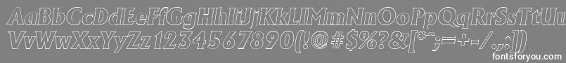 AdelonoutlineXboldItalic Font – White Fonts on Gray Background