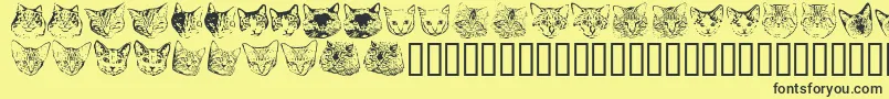 Kittp Font – Black Fonts on Yellow Background