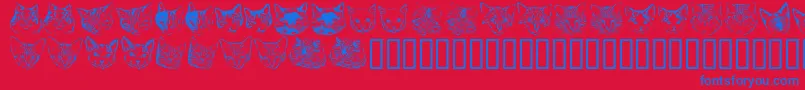 Kittp Font – Blue Fonts on Red Background