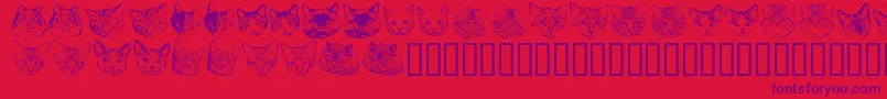 Kittp Font – Purple Fonts on Red Background
