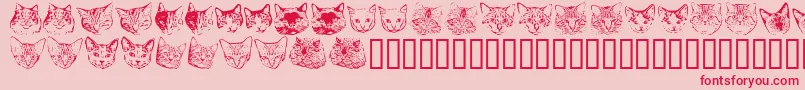 Kittp Font – Red Fonts on Pink Background