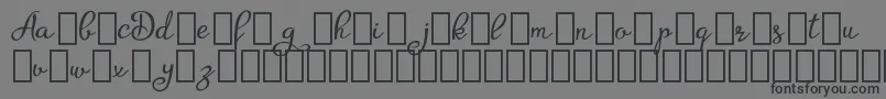 Шрифт AgrishDemo – чёрные шрифты на сером фоне