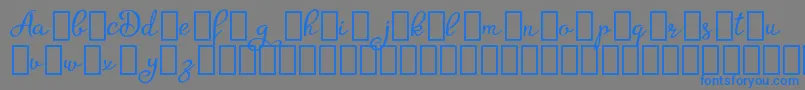 フォントAgrishDemo – 灰色の背景に青い文字