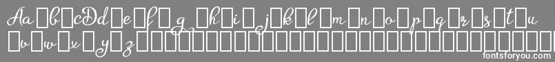 AgrishDemo Font – White Fonts on Gray Background