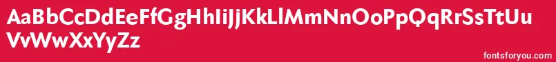 Fabersanspro85reduced Font – White Fonts on Red Background