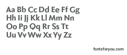 Fabersanspro85reduced Font