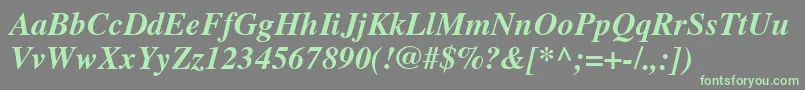 TimesCeBoldItalic Font – Green Fonts on Gray Background