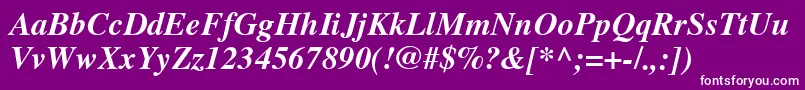 TimesCeBoldItalic Font – White Fonts on Purple Background