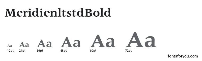 Размеры шрифта MeridienltstdBold