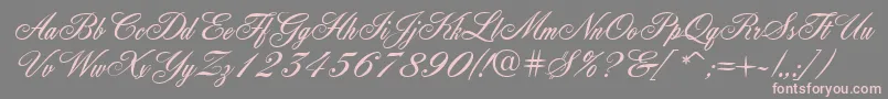 Quill Font – Pink Fonts on Gray Background