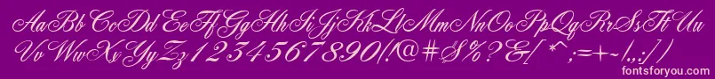Quill Font – Pink Fonts on Purple Background