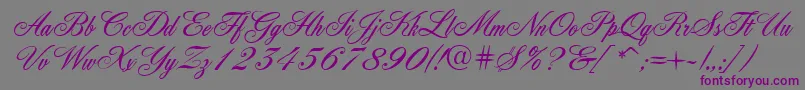 Quill Font – Purple Fonts on Gray Background