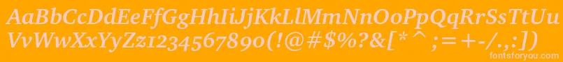 CharteroscBolditalic Font – Pink Fonts on Orange Background