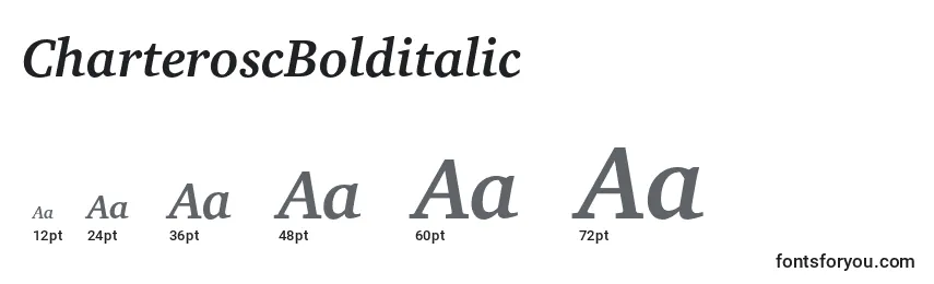 CharteroscBolditalic Font Sizes