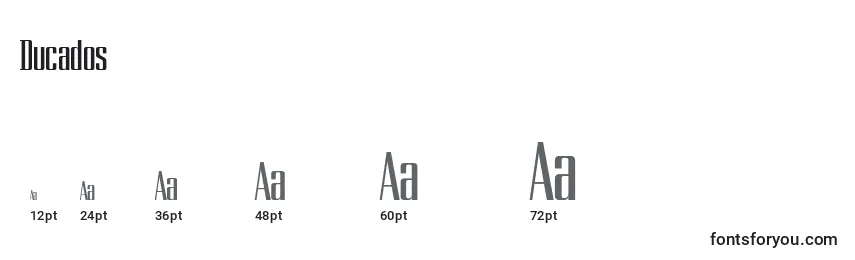 Ducados Font Sizes