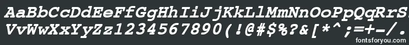 CourierNewBoldItalic Font – White Fonts