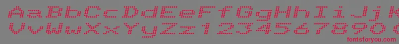 TelidonExBoldItalic Font – Red Fonts on Gray Background