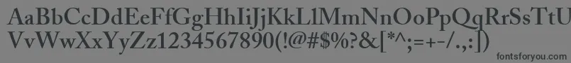 Weitere Informationen zur AdobeCaslonSemibold-Schriftart AdobeCaslonSemibold-Schriftart – Schwarze Schriften auf grauem Hintergrund