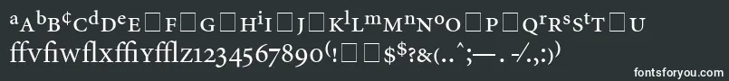 フォントAtlantixProSsi – 白い文字