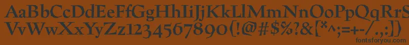 フォントPreissigtextBold – 黒い文字が茶色の背景にあります