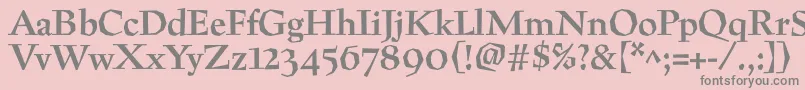 PreissigtextBold Font – Gray Fonts on Pink Background