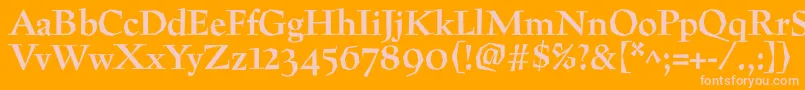 PreissigtextBold Font – Pink Fonts on Orange Background