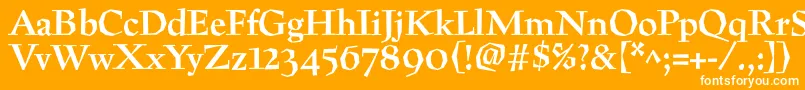 PreissigtextBold Font – White Fonts on Orange Background