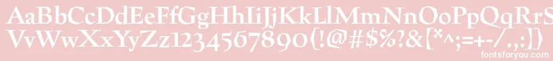 PreissigtextBold Font – White Fonts on Pink Background