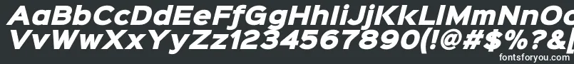 フォントSinkinsans900xblackitalic – 白い文字